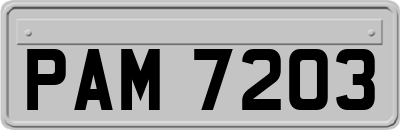 PAM7203