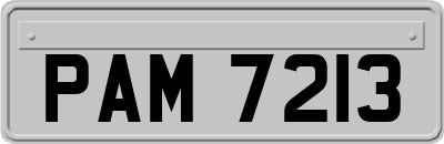 PAM7213