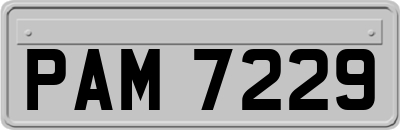PAM7229