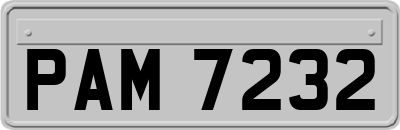 PAM7232