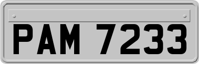 PAM7233