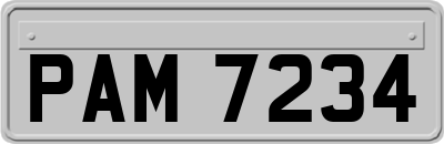 PAM7234