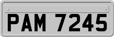 PAM7245