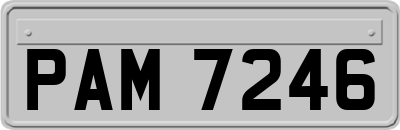 PAM7246