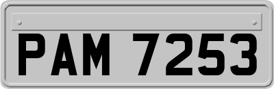 PAM7253