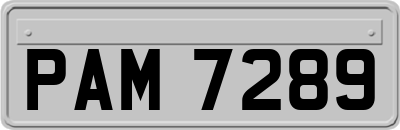PAM7289