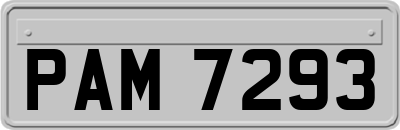 PAM7293