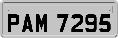 PAM7295