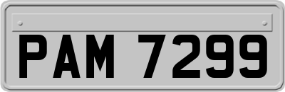 PAM7299