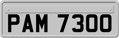 PAM7300