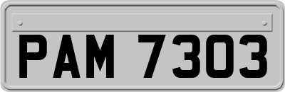 PAM7303