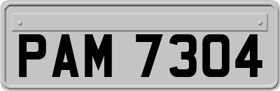 PAM7304