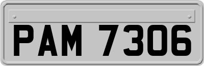 PAM7306