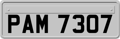 PAM7307