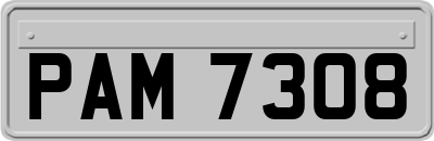 PAM7308