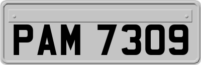 PAM7309
