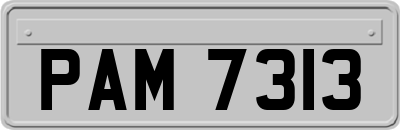 PAM7313