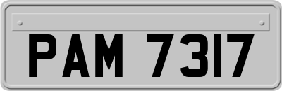 PAM7317