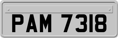 PAM7318