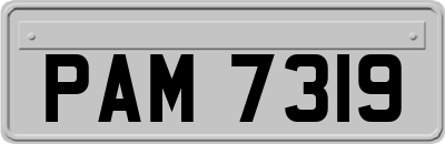 PAM7319