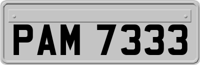 PAM7333