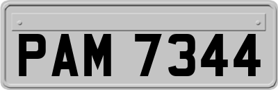 PAM7344