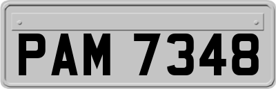 PAM7348
