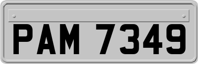 PAM7349