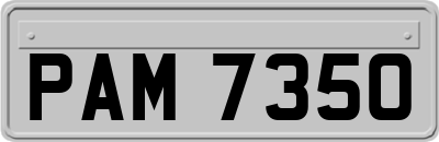 PAM7350