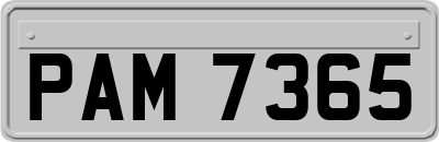 PAM7365
