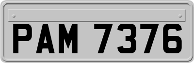 PAM7376