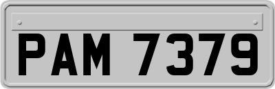 PAM7379