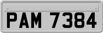 PAM7384