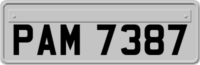 PAM7387