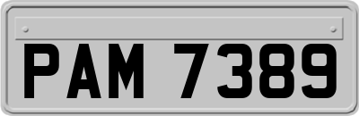 PAM7389