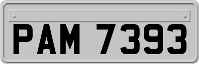 PAM7393