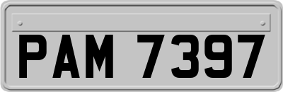 PAM7397