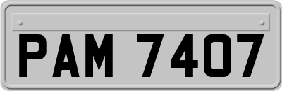 PAM7407