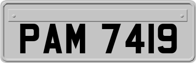 PAM7419