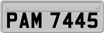 PAM7445
