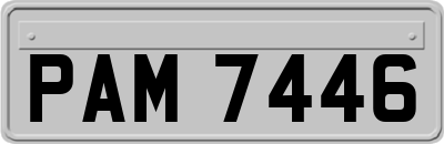 PAM7446