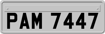 PAM7447