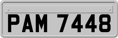 PAM7448