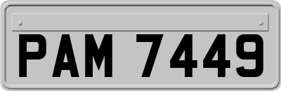 PAM7449