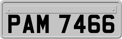 PAM7466