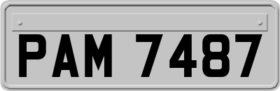PAM7487