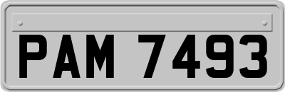 PAM7493