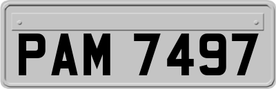 PAM7497