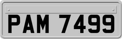 PAM7499