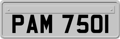 PAM7501